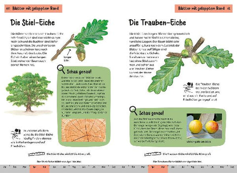 9783440172452 - Sample content