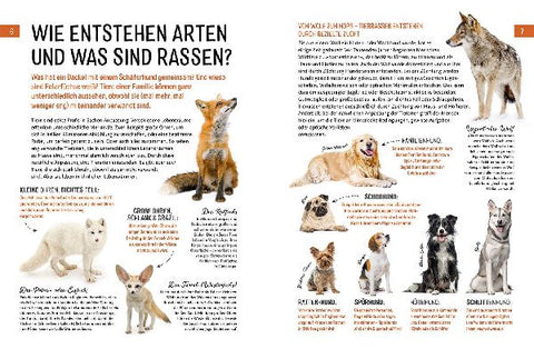 9783440172629 - Sample content