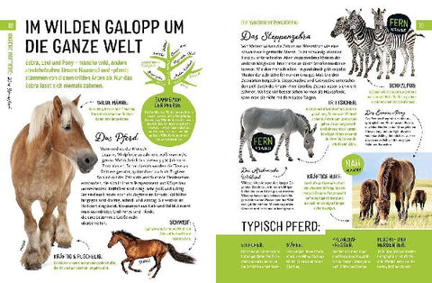 9783440172629 - Sample content