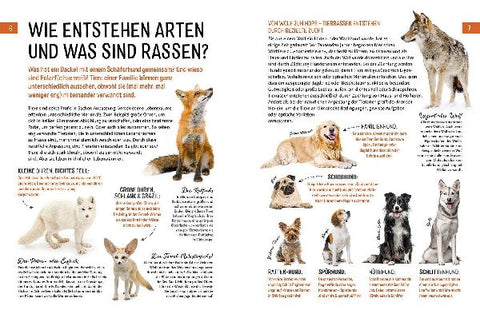 9783440172629 - Sample content