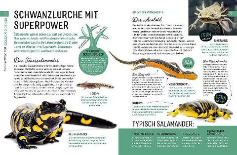 9783440172629 - Sample content