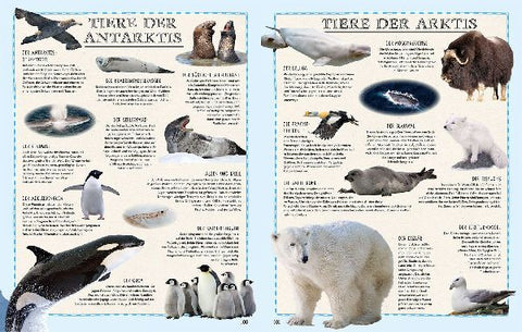 9783440172896 - Sample content