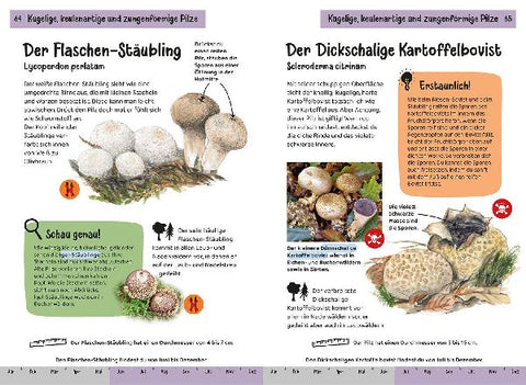 9783440174296 - Sample content