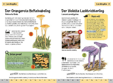 9783440174296 - Sample content