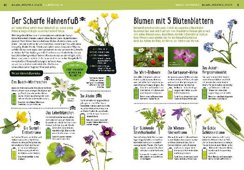 9783440174685 - Sample content