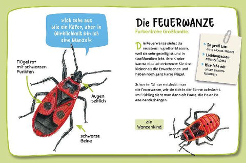 9783440175248 - Sample content