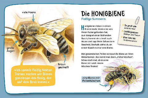 9783440175248 - Sample content