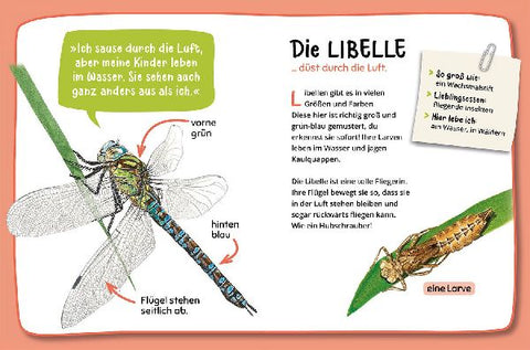 9783440175248 - Sample content