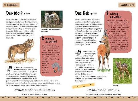 9783440175750 - Sample content