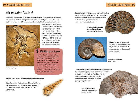 9783440175767 - Sample content