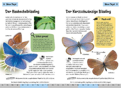 9783440176474 - Sample content