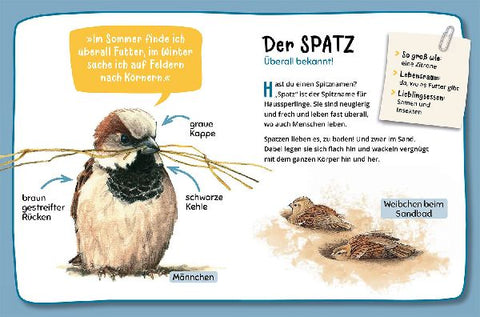 9783440177181 - Sample content