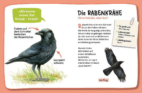 9783440177181 - Sample content