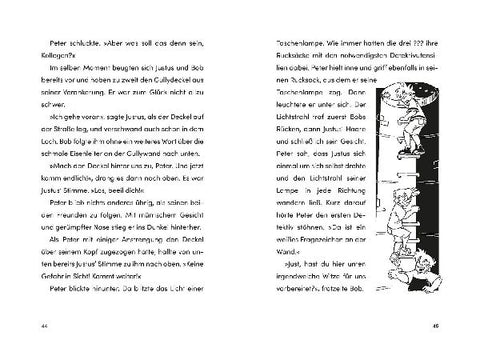 9783440177839 - Sample content