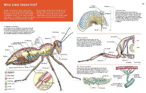 9783440177945 - Sample content