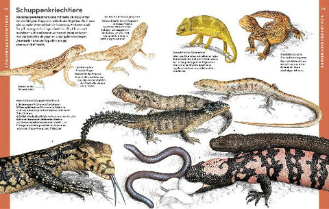 9783440177945 - Sample content