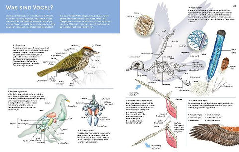 9783440177945 - Sample content