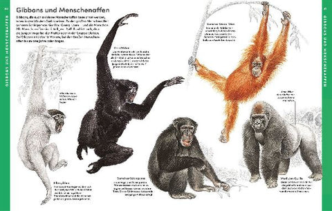 9783440177945 - Sample content