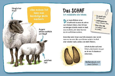 9783440178058 - Sample content