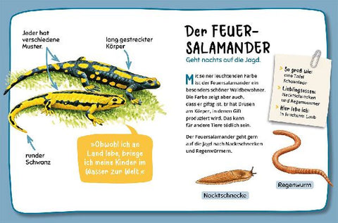 9783440178072 - Sample content