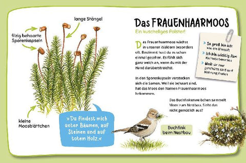 9783440178072 - Sample content