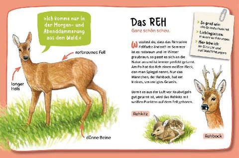 9783440178072 - Sample content