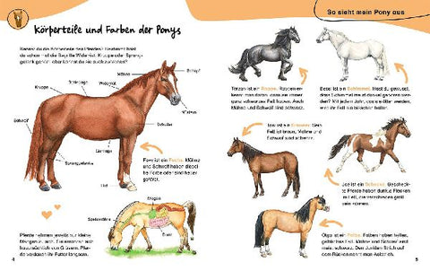 9783440178980 - Sample content