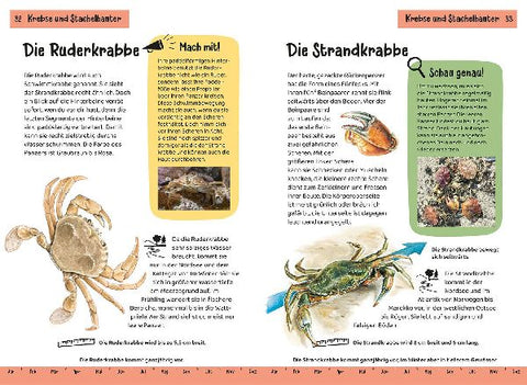 9783440179222 - Sample content