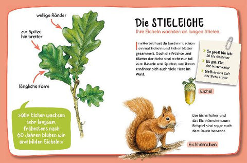 9783440180730 - Sample content