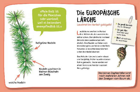 9783440180730 - Sample content