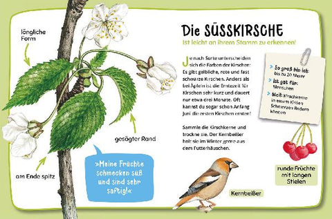 9783440180730 - Sample content