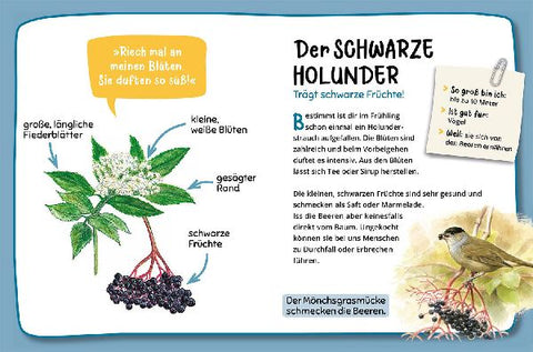 9783440180730 - Sample content