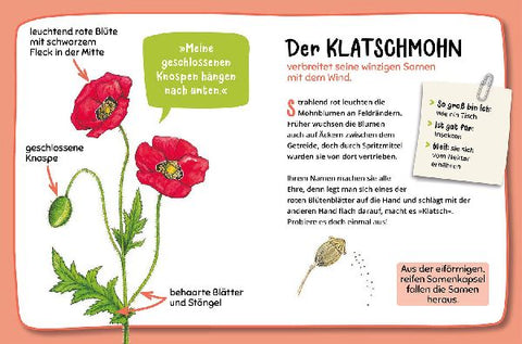 9783440181225 - Sample content