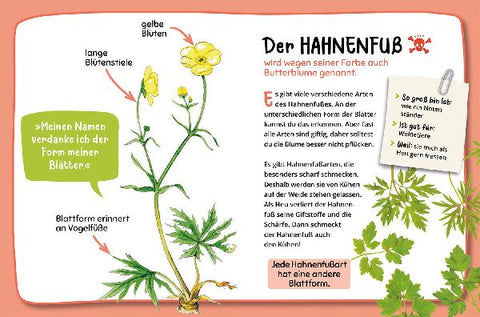 9783440181225 - Sample content