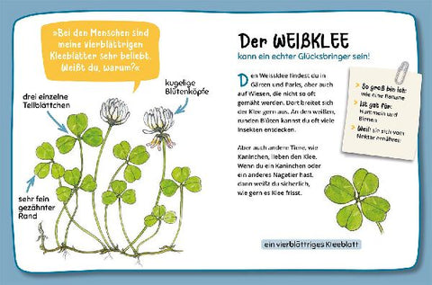 9783440181225 - Sample content