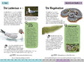 9783440182116 - Sample content