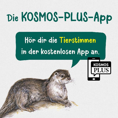 9783440182116 - Sample content