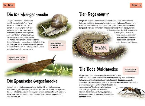 9783440182475 - Sample content