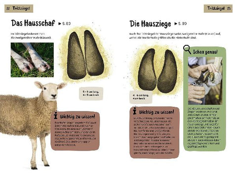 9783440182475 - Sample content