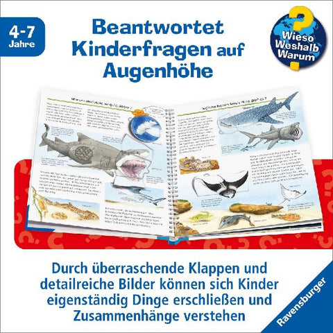 9783473326433 - Sample content