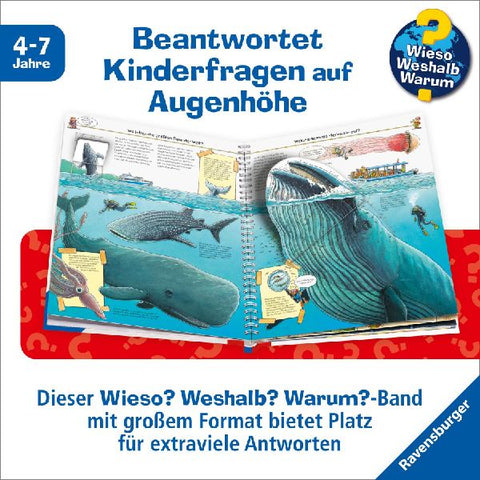 9783473326709 - Sample content