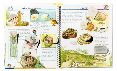 9783473327430 - Sample content