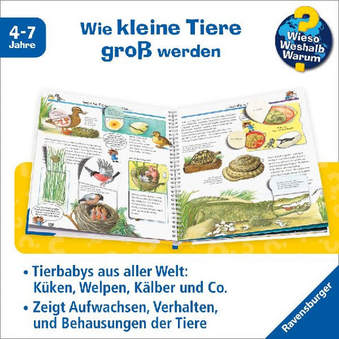 9783473327430 - Sample content