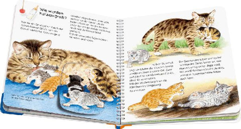 9783473327706 - Sample content