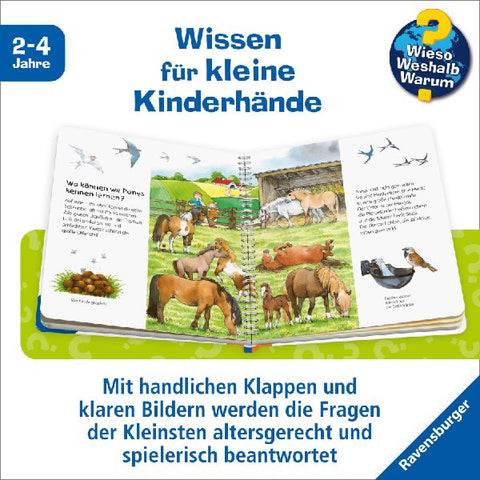 9783473327737 - Sample content