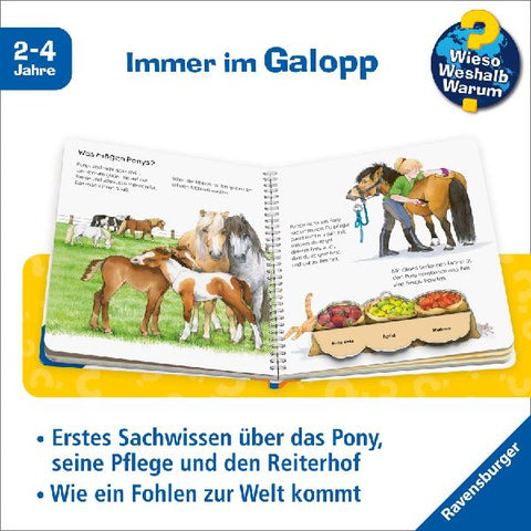 9783473327737 - Sample content