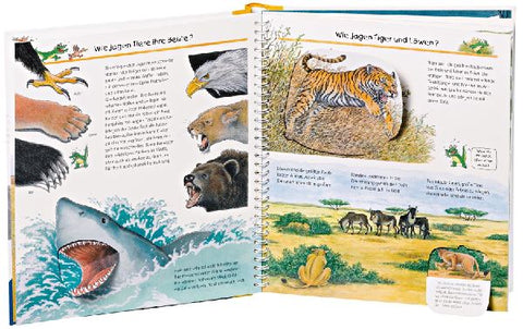 9783473328147 - Sample content