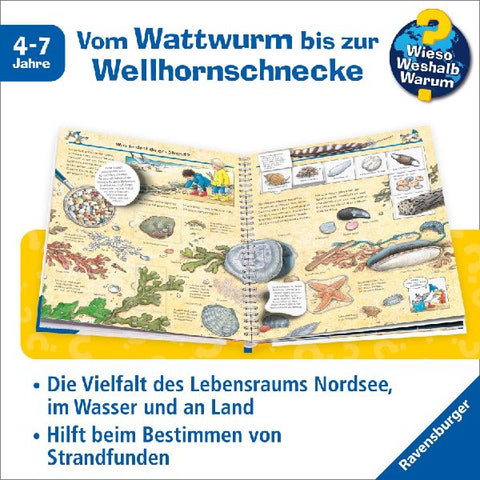 9783473328765 - Sample content