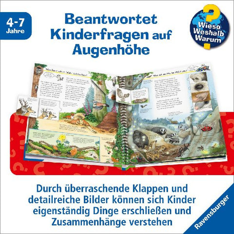 9783473329489 - Sample content