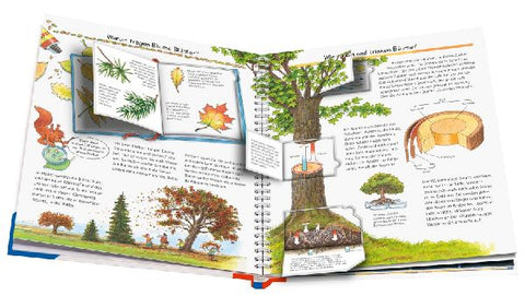 9783473329823 - Sample content